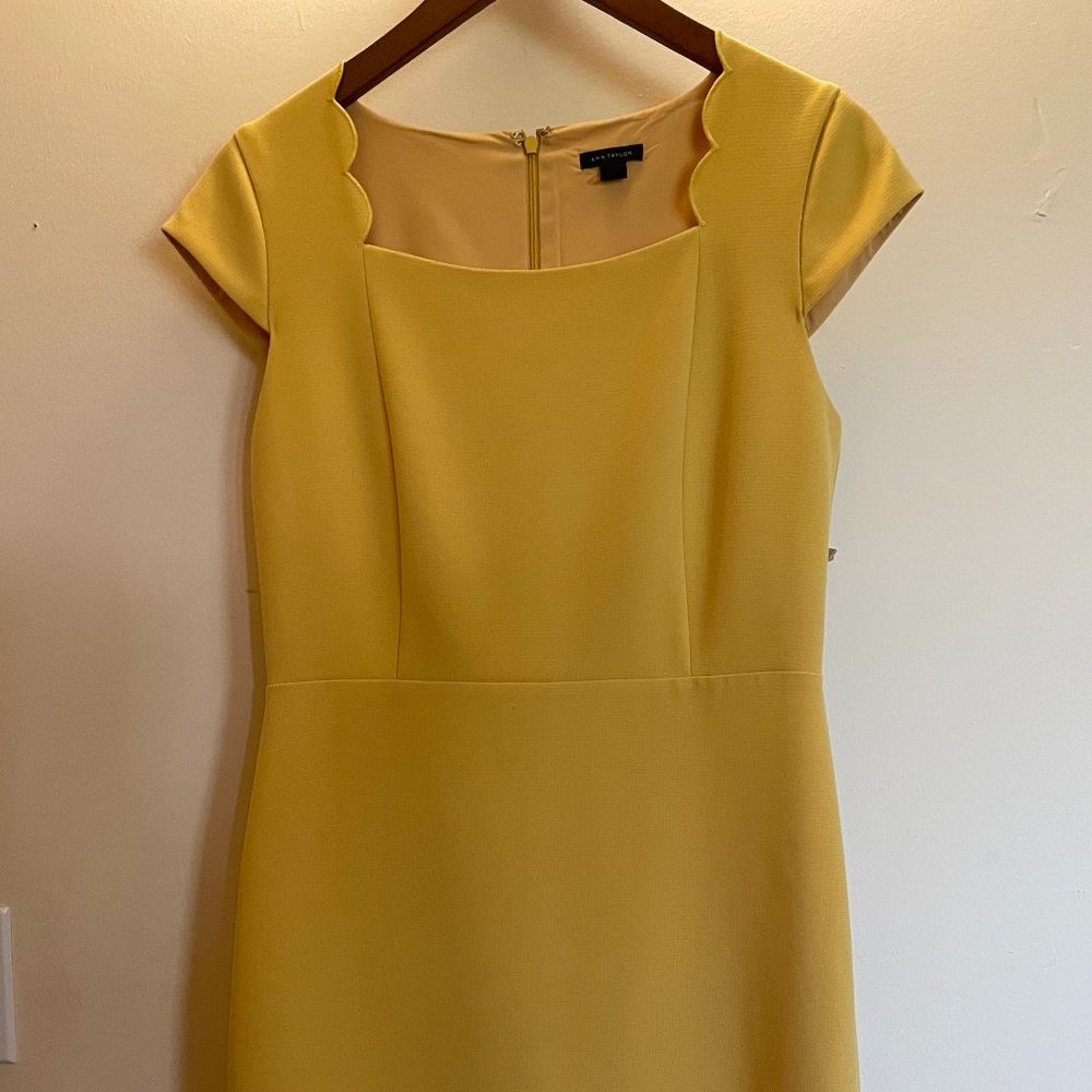 Ann Taylor Dress   Size 4
